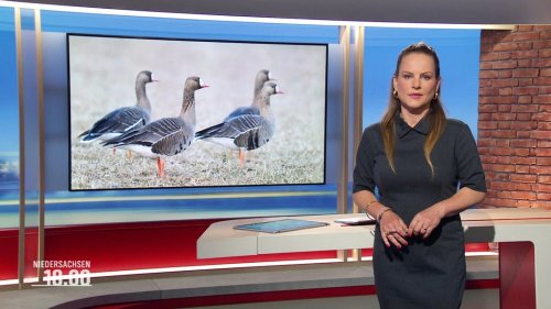Niedersachsen 18.00 | 20.05.2025