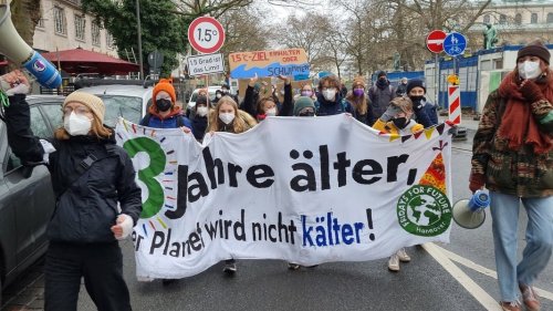 Drei Jahre Fridays for Future in Hannover - Demo fürs Klima