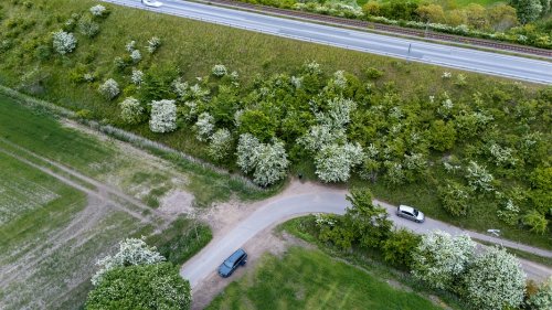 Festnahme nach Leichenfund auf Fehmarn: 60-Jähriger wird befragt