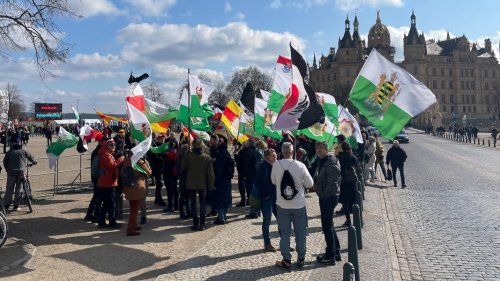 Demonstration in MV: Reichsbürger aus ganz Deutschland in Schwerin