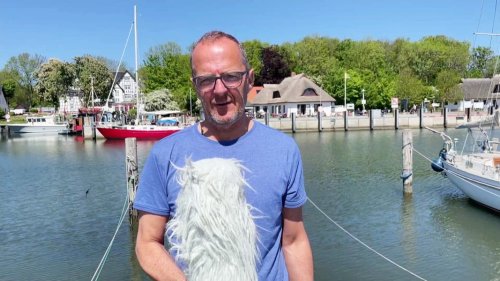 So wird das Wetter in Mecklenburg-Vorpommern am Mittwoch