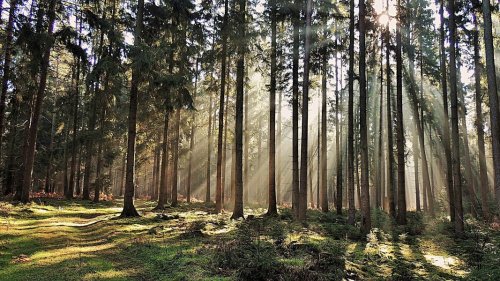 Die Bilder des Tages aus Niedersachsen