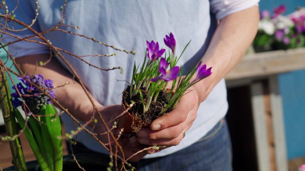 Rasch durch den Garten: Jetzt geht's los im Garten