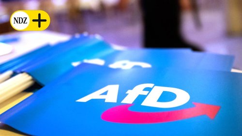 Mündersche AfD fehlt 2024 bisher bei fast allen Sitzungen - unentschuldigt