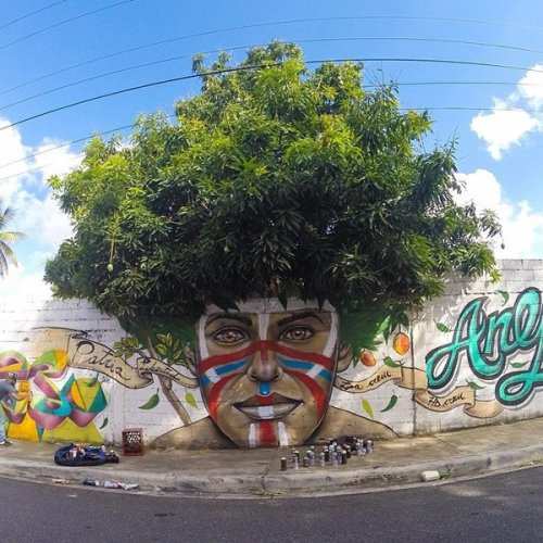 5 Awesome "Graffitrees": Graffiti with Actual Trees