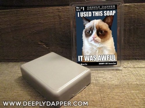 I Used Grumpy Cat Soap Once -It Was Terrible