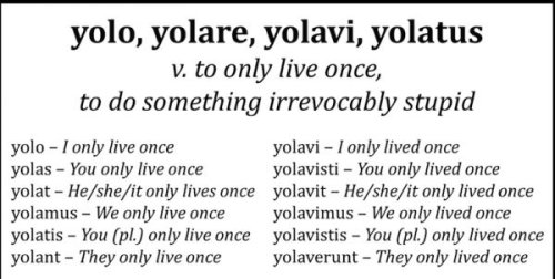 How to Conjugate #YOLO in Latin