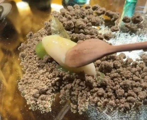 Luxury Restaurant Offers Elephant Poop for Dessert