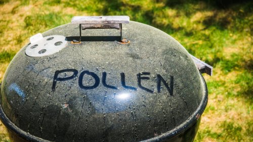 Boston's pollen forecast is high for days. Here's why.