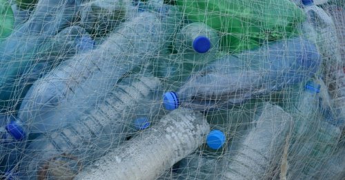 Le WWF appelle à un plan d'urgence sur la pollution plastique marine