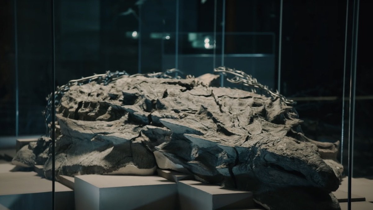 Excavation of Amazing Dinosaur Fossil Goes Horribly Wrong