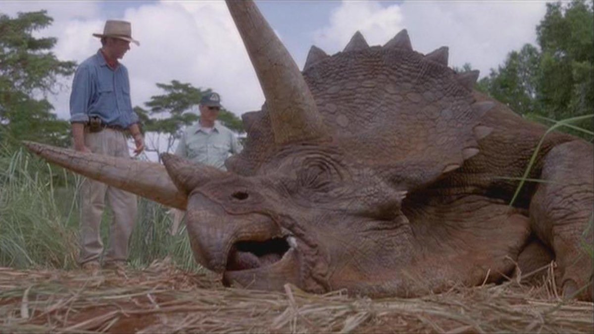 College Student Discovers 65 Million-Year-Old Triceratops Skull