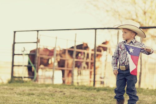 Texas Farm Bureau Insurance Review 2021 Flipboard