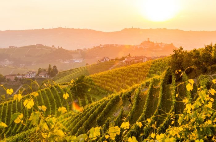 The Best Italian Wines to Need to Order Now!