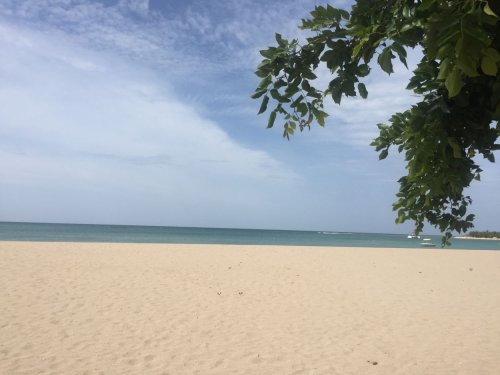 Unser traumhafter Strandurlaub in Sri Lanka