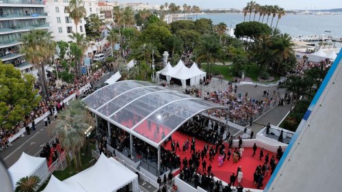 Cannes 2023: Alle Gewinner - diese Filme und Stars haben abgeräumt!