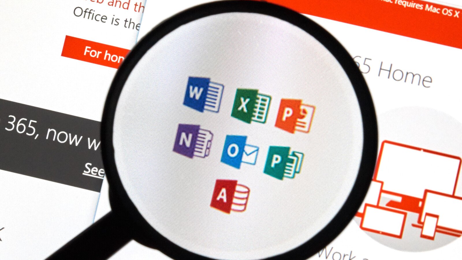 Microsoft Office 365 offenbar down: Login- und Server-Probleme (Update)