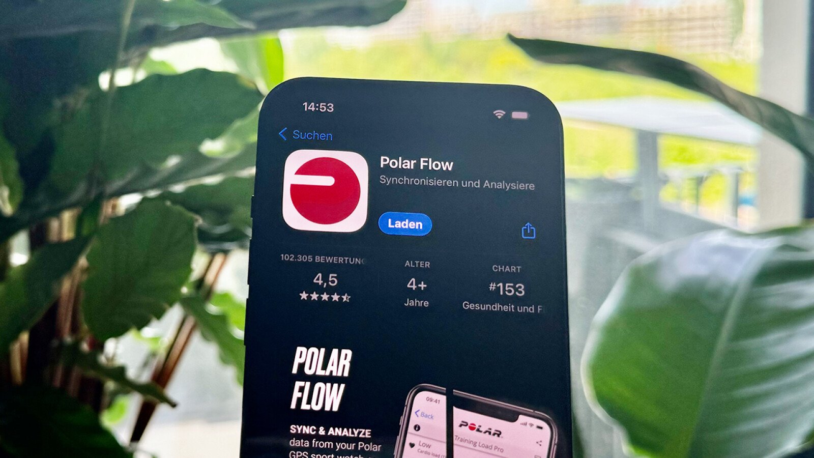 Apple Health mit Polar Flow verbinden: So verbindet ihr App und Smartphone