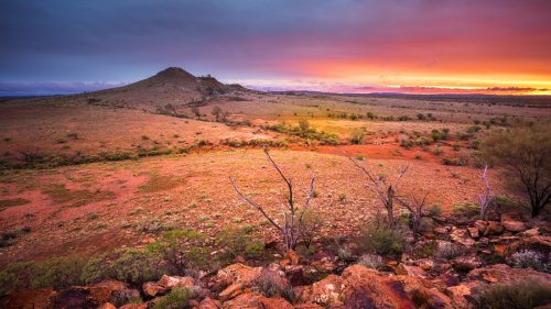 Wegen Google Maps-Fehler: Familie kämpfte im australischen Outback 48 Stunden um ihr Leben