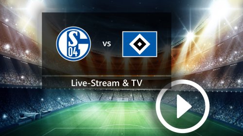 FC Schalke 04 gegen Hamburger SV: Auf diesem Sender seht ihr das Top-Spiel der 2. Bundesliga gratis im TV und Live-Stream
