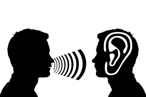 New Research Throws Doubt on Old Ideas of How Hearing Works