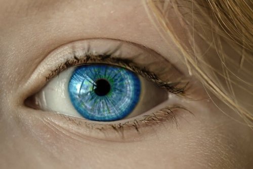 Pupil Dilation: A Window to Perception - Neuroscience News