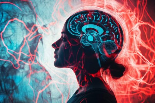 The Brain Learns to Fear Through Inference, Not Just Experience