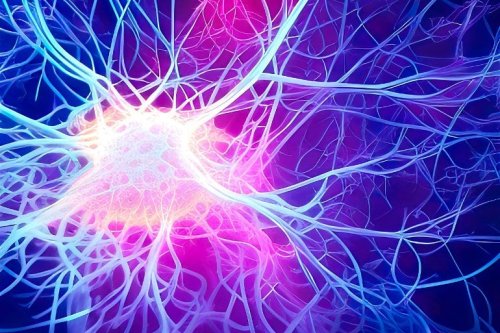 Predicting Dementia Using Neural Network Characteristics