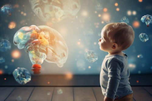 Prenatal Phthalate Exposure Linked to Brain Size and Child IQ Reduction - Neuroscience News