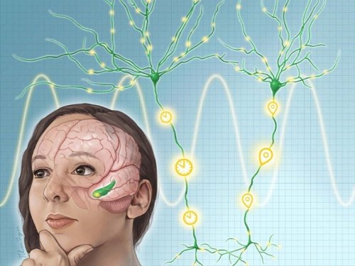 How the Brain Remembers Right Place and Right Time - Neuroscience News