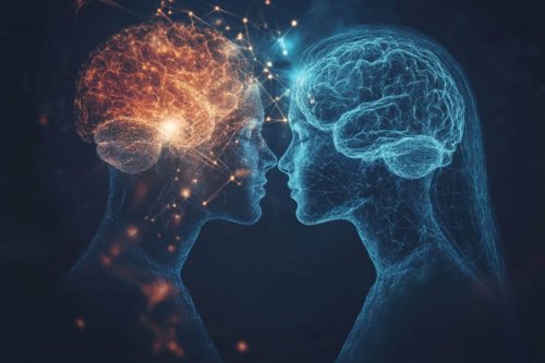 Histamine Alters Dopamine Differently in Male and Female Brains