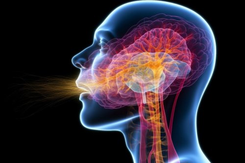 Tongue Movements Revealed by Brain Signals - Neuroscience News