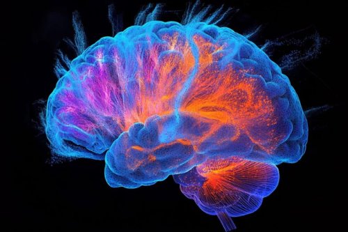 Brain-Wide Connections Predict Human Intelligence