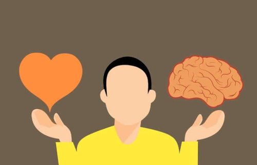 Why Do We Like What We Like? The Neuroscience Behind the Objects That Please Us