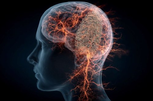 AI Decodes the “Brain Fingerprint” of Chronic Pain
