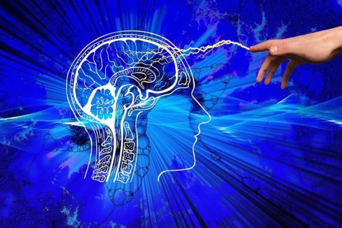 A New Explanation for Consciousness - Neuroscience News