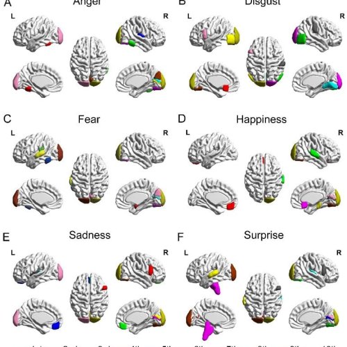 Decoding Six Basic Emotions From Functional Brain Connectivity Patterns