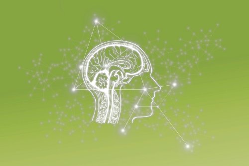Brain Connectivity in Cannabis Users - Neuroscience News