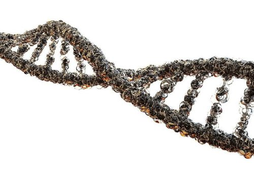 Mechanism Shared by Mutations in Different Genes Associated With Autism, Schizophrenia, and Other Conditions Discovered - Neuroscience News