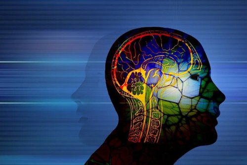 Metabolism Linked to Brain Health - Neuroscience News