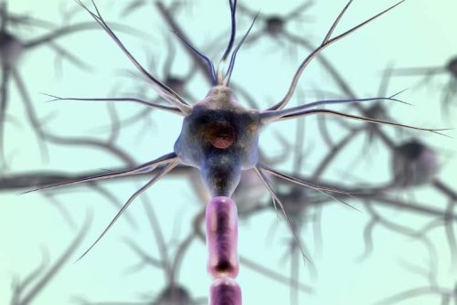 Genes That Maintain Healthy Neurons Identified