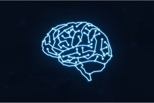 Key Factors Identified for Regeneration of Brain Tissue - Neuroscience News