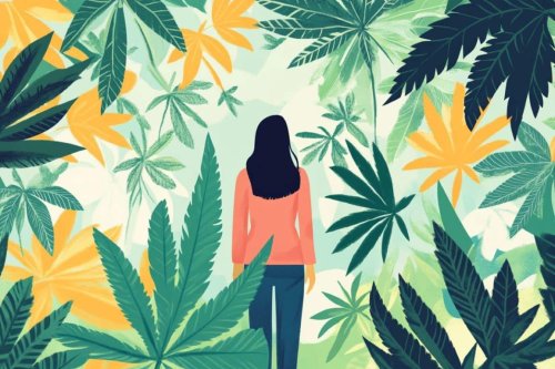 Cannabis Terpenes Offer New Hope for Chronic Pain, Fibromyalgia