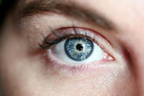New Factors Behind Better Vision - Neuroscience News