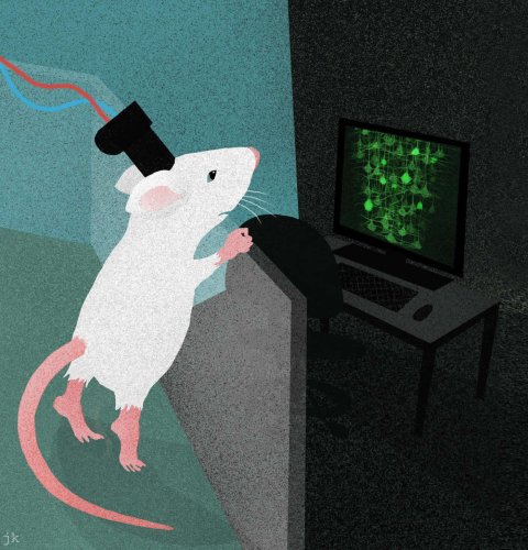 Neuroscience cover image