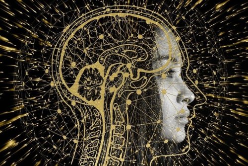 Harnessing Incoherence to Make Sense of Real-World Networks - Neuroscience News