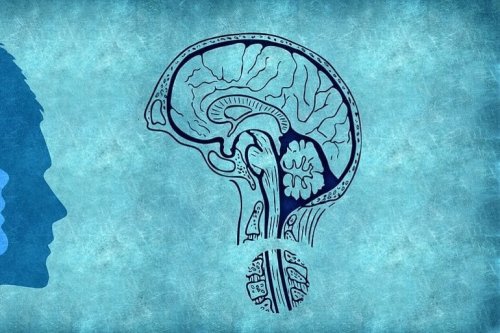 "A New Way Biology Works": Neuronal Signaling Can be Modified by Mirror-Image Molecules - Neuroscience News