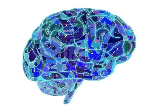 Patients With Schizophrenia, Major Depression and Bipolar Disorder Have Distinct Reward Neural Mechanisms - Neuroscience News