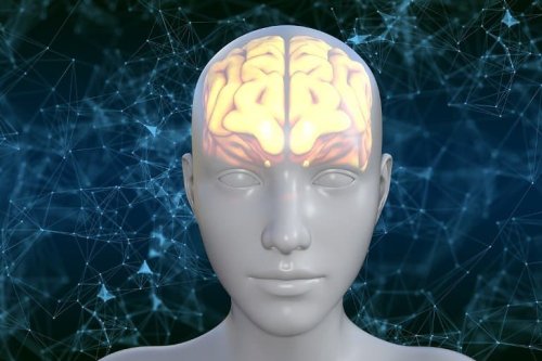 Intranasal Drug Halts Memory Decay in Experimental Alzheimer’s Model - Neuroscience News