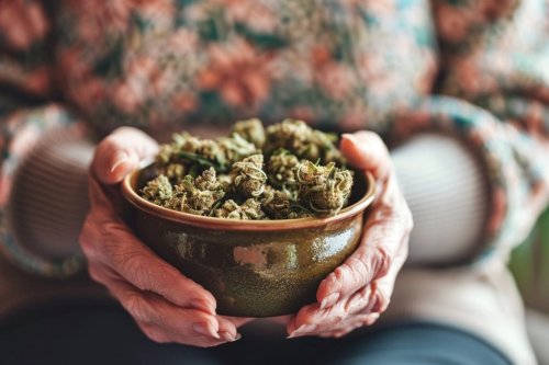 Cannabis Use Linked to Lower Dementia Risk